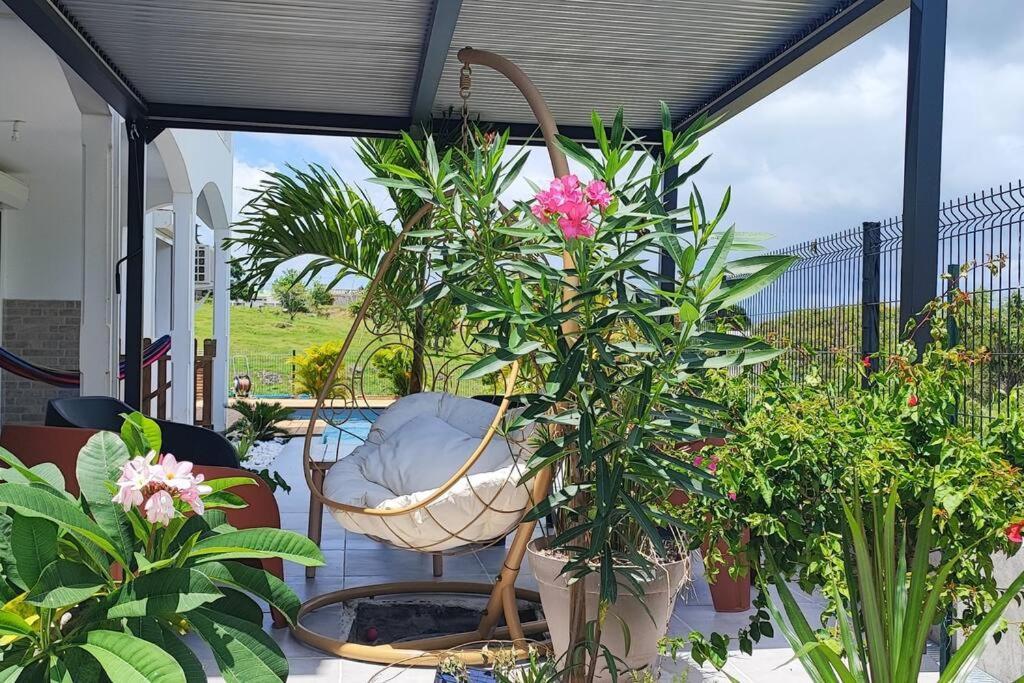 Kukumi'S House Avec Piscine Sainte-Anne (Grande-Terre) Exterior foto